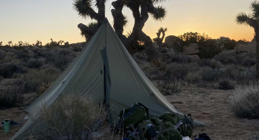 A tent rests in a desert environment, near joshua trees. The sky appears in gentle colors. 